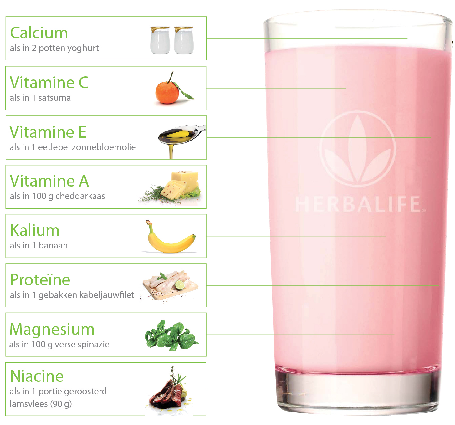 Formula 1 Shake Vitaminen en mineralen