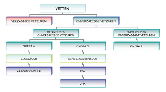 Lees alles over vetten